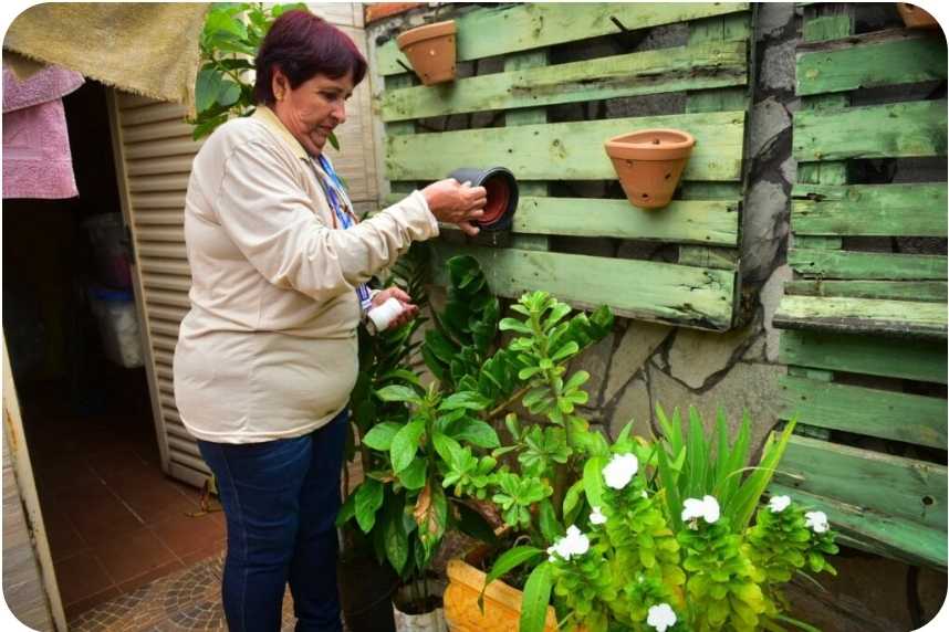 Prefeitura de Goiânia Alerta: Evite a Proliferação do Mosquito da Dengue Durante as Viagens de Fim de Ano
