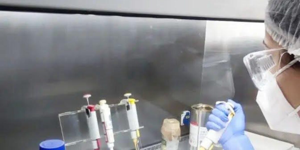 Bolsas de Mestrado e Doutorado em Goiás Agora Superiores às Federais