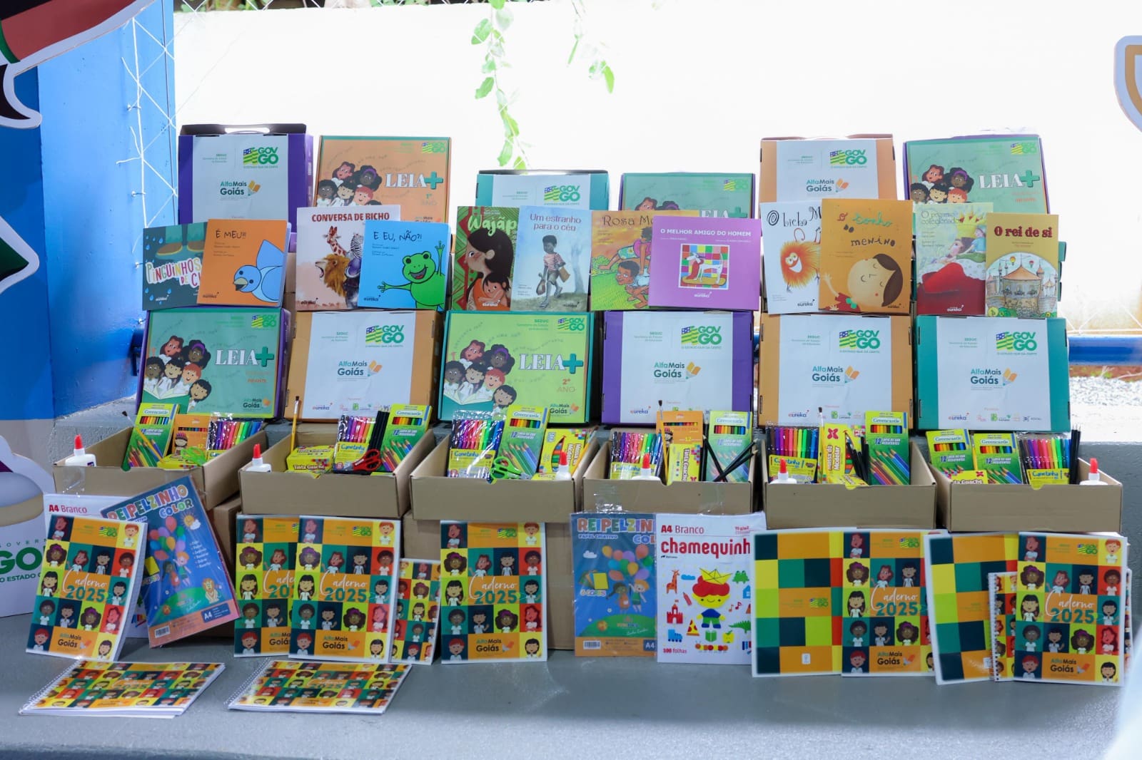 Goiás Conquista Selo Ouro por Avanços na Alfabetização e Destaca Programa AlfaMais