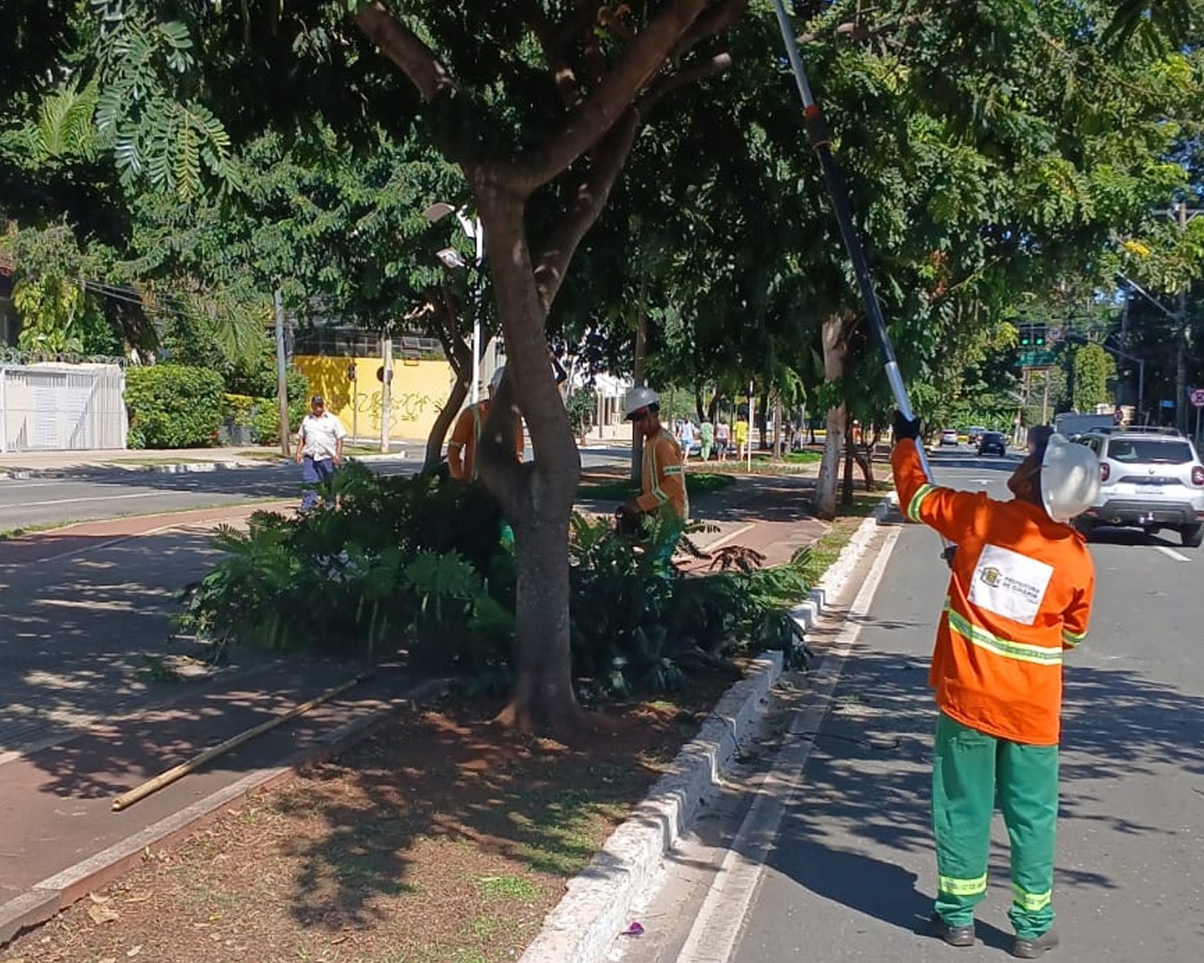 Comurg inicia ação de poda em mais de 5 mil árvores em maio