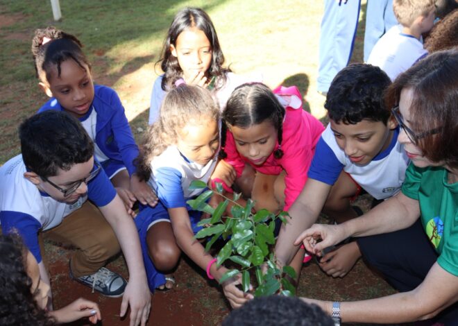 SME e Amma promovem plantio de 100 mudas do Cerrado pelo Dia Mundial do Meio Ambiente