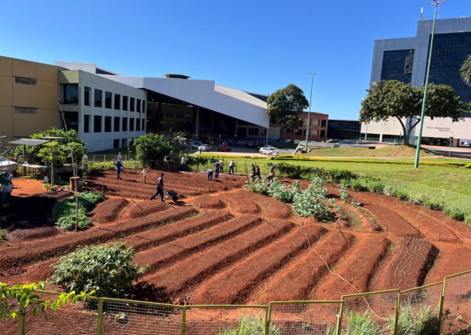 Goiânia capacita servidores para impulsionar hortas urbanas
