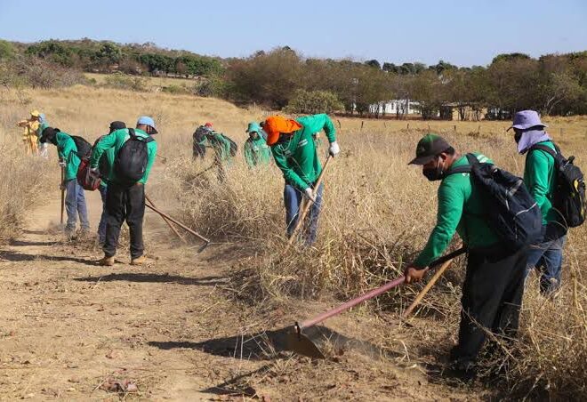 Aparecida de Goiânia lança Plano de Contingência de Incêndio na APA Serra da Areia pelo Dia Mundial do Meio Ambiente