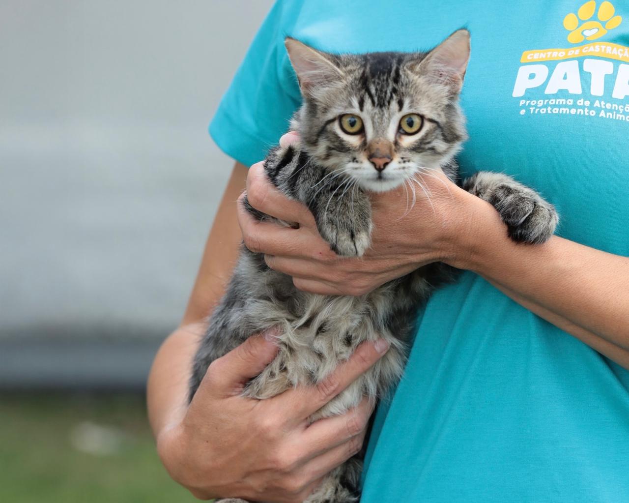 Mutirão de Aparecida oferece feira de adoção e triagem para castração de pets