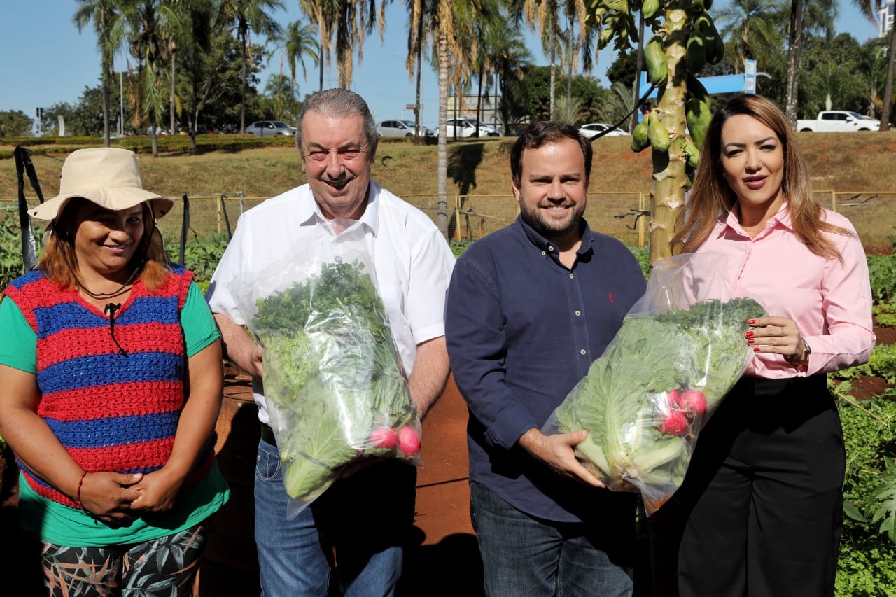 Goiânia lança Programa de 50 hortas urbanas comunitárias