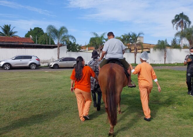 Cavalaria da PM leva equoterapia e humanização ao HMAP de Aparecida de Goiânia