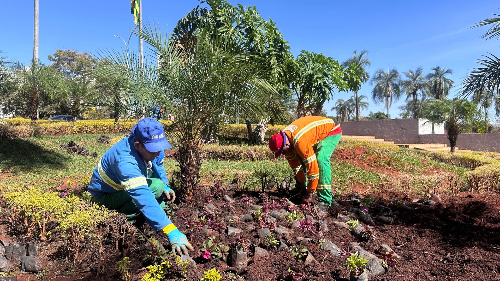 Comurg renova paisagismo do Paço e revitaliza 36 praças em Goiânia