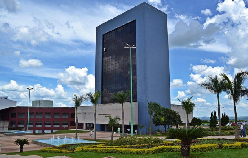 Goiânia cria Núcleo Girassol para reforçar saúde mental infantojuvenil