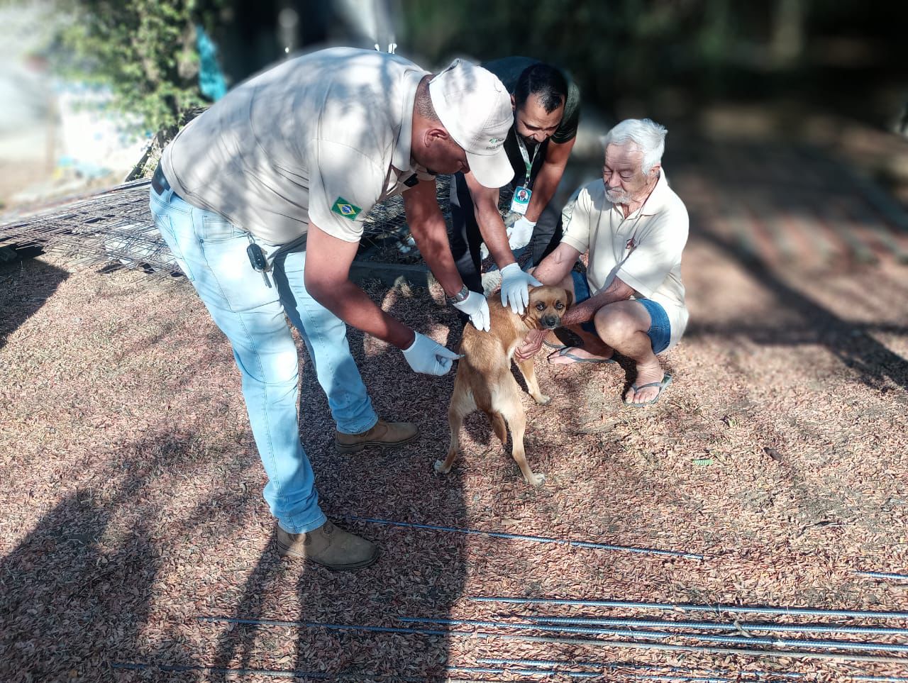Aparecida de Goiânia inicia campanha antirrábica; Dia D em 20 de setembro