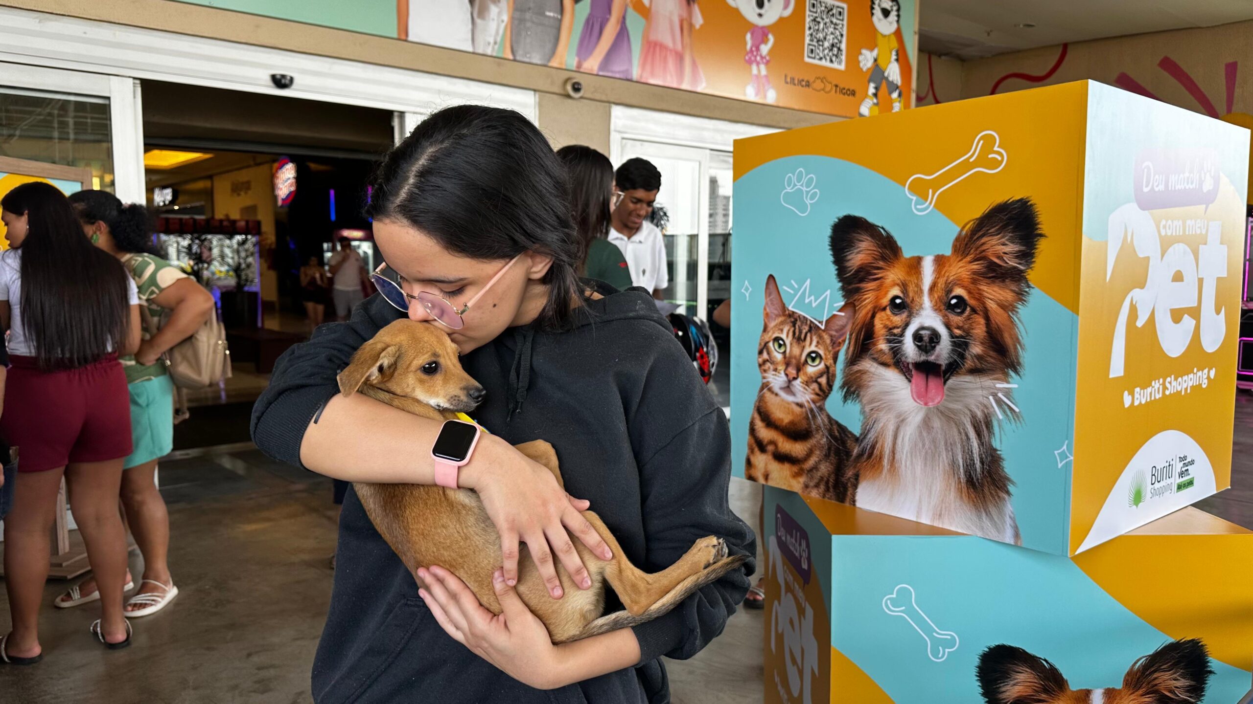 Aparecida de Goiânia adota 38 cães e gatos em 1h30 na feira responsável