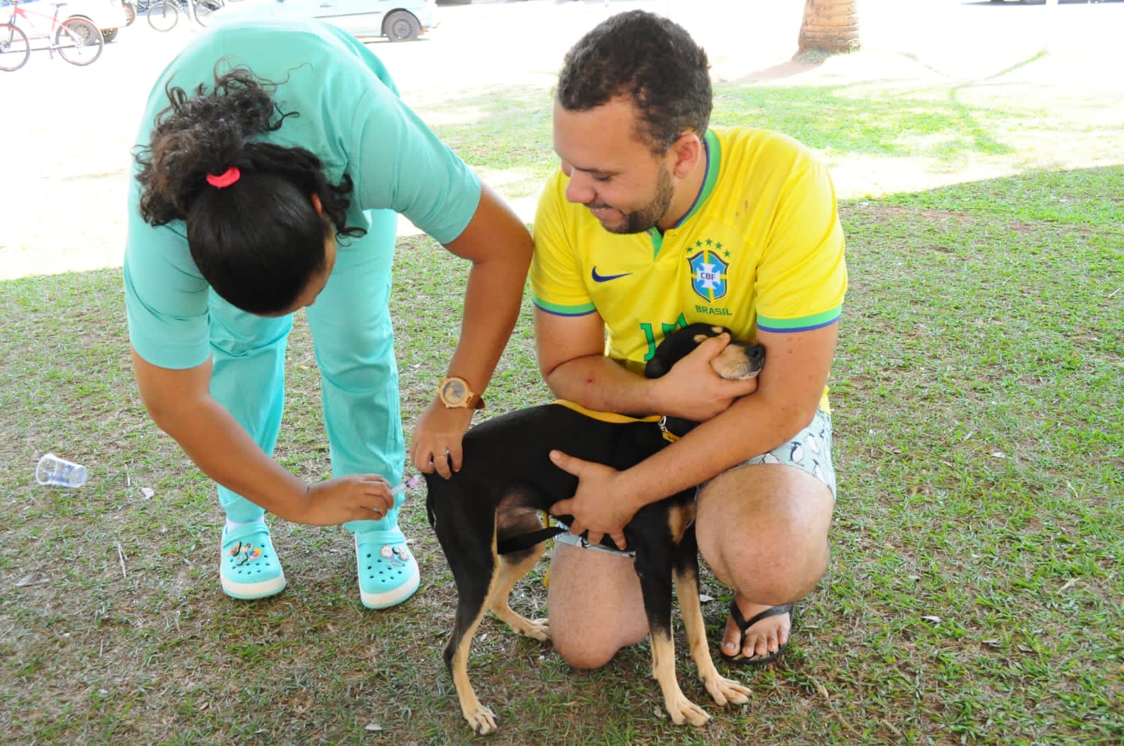 Aparecida de Goiânia faz Dia D de vacinação antirrábica para cães e gatos neste sábado
