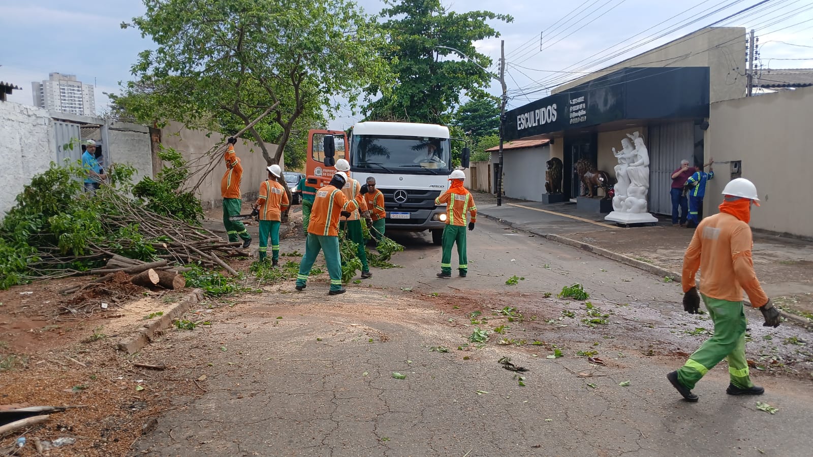 Temporal derruba 32 árvores em Goiânia, diz Comurg