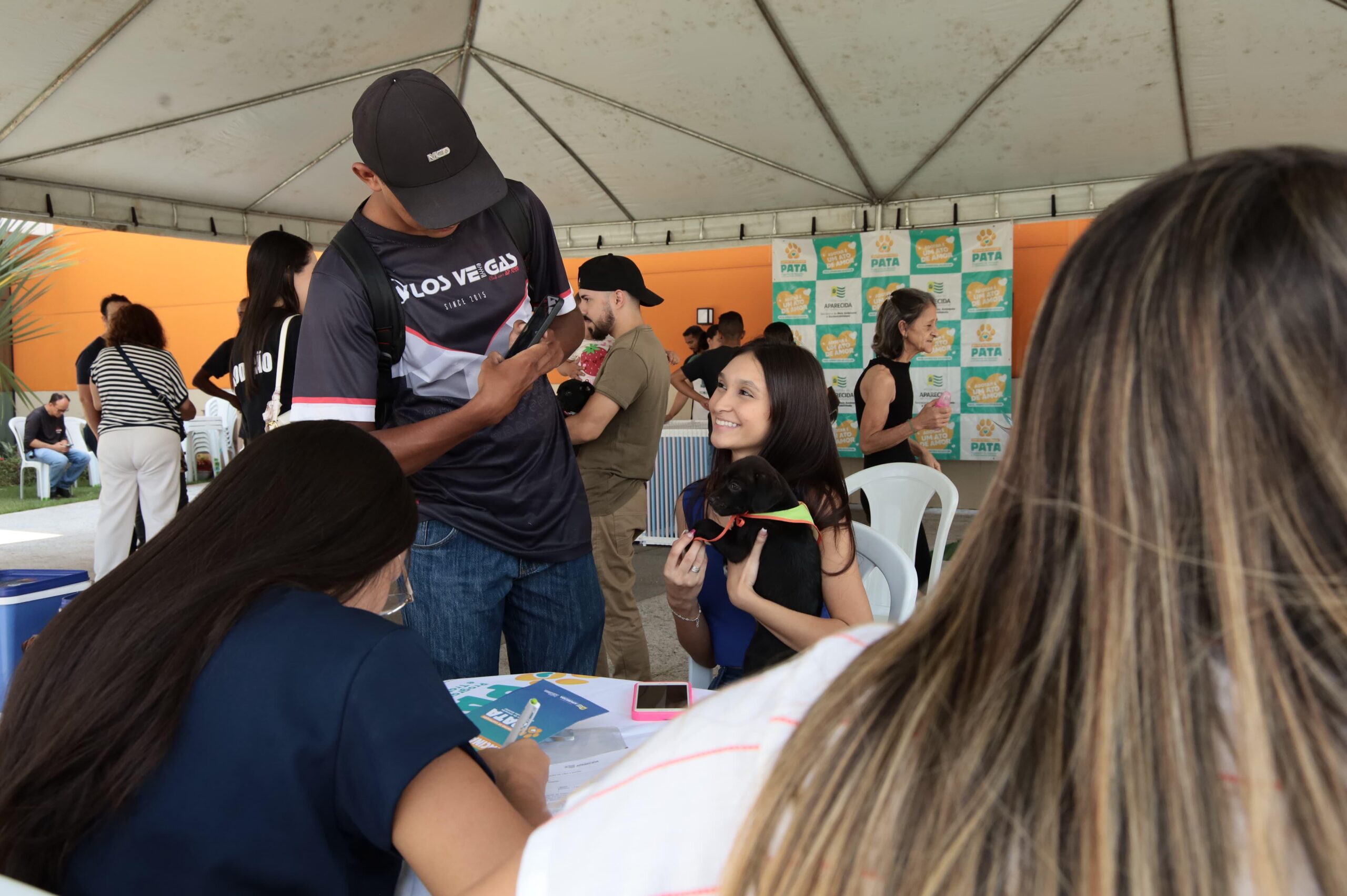 Aparecida adota 31 animais em feira promovida pela Prefeitura