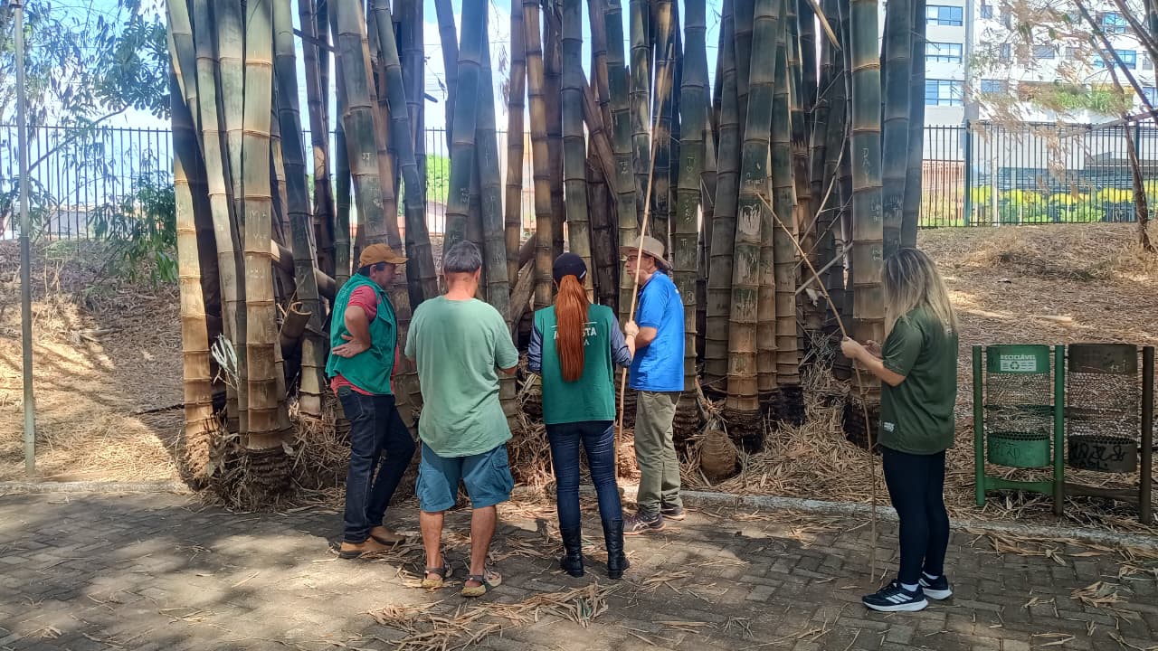 Parceria com UFG: Prefeitura instala paliçadas no Parque Areião para conter erosão e proteger nascente