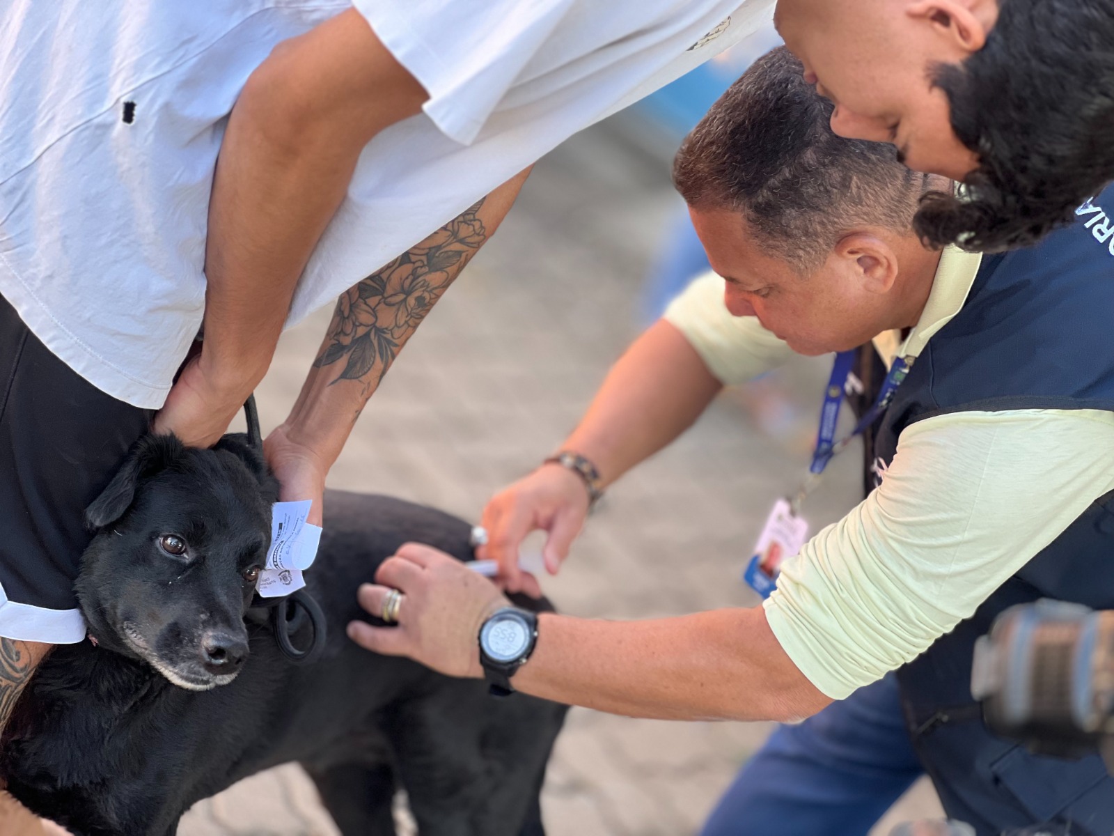 SMS alerta população contra raiva após registro de caso confirmado em morcego na capital