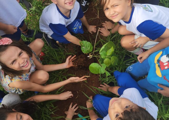 Projeto Plantando Árvores, Colhendo Vidas inicia atividades em 2026 em Goiânia