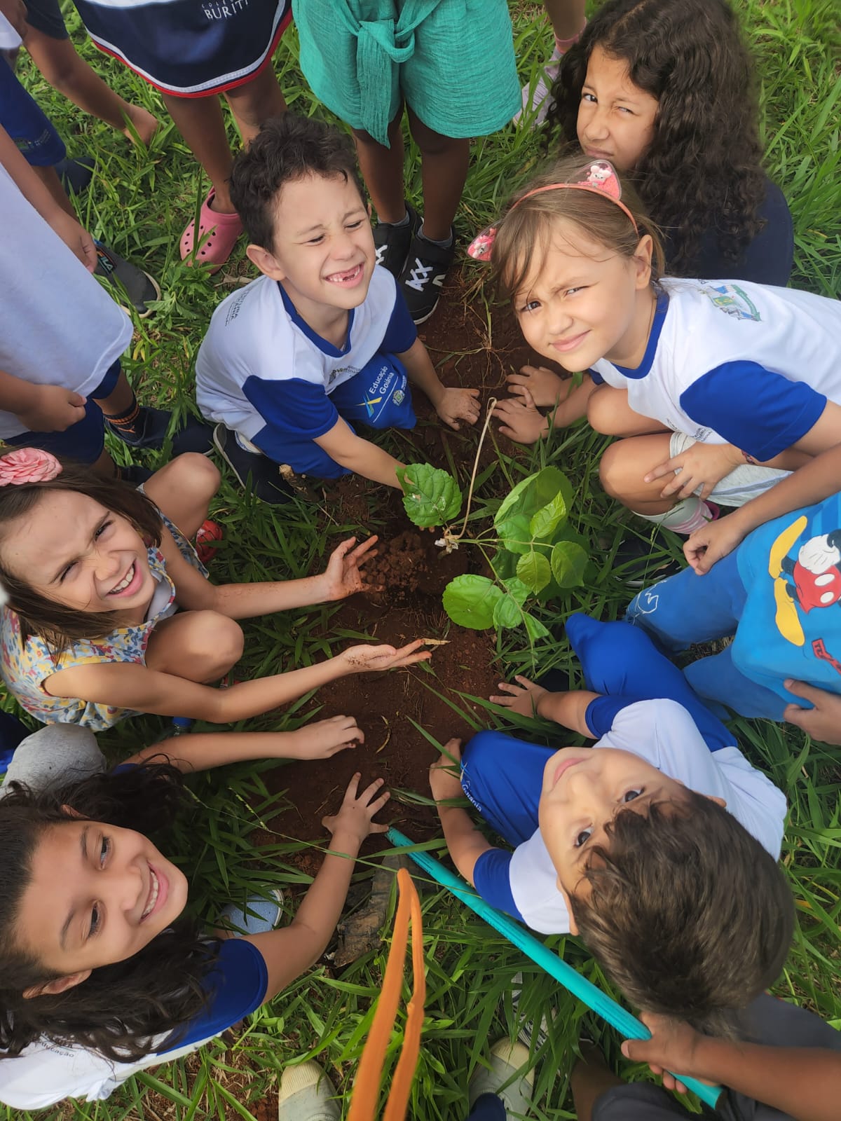 Projeto Plantando Árvores, Colhendo Vidas inicia atividades em 2026 em Goiânia