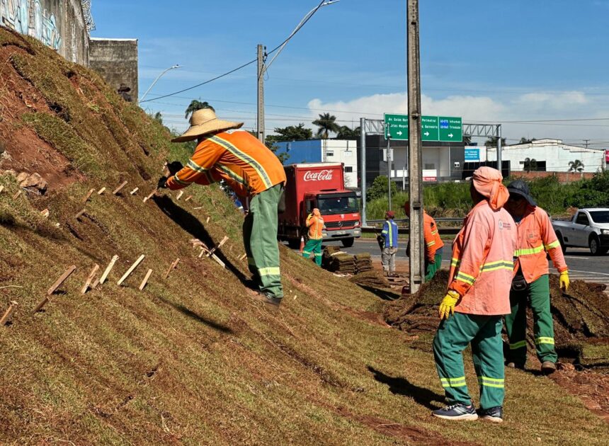Comurg inicia recomposição de 4 mil m² de gramado na Marginal Botafogo