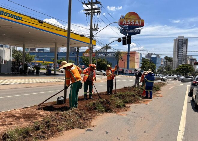 AVENIDA D, cartão-postal de Goiânia, recebe 89 árvores e mais de mil metros de gramado