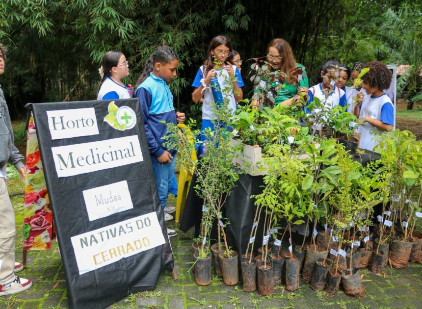 Mais de 1,4 mil estudantes da rede municipal participam de ações ambientais na 4ª Expedição Rio Meia Ponte