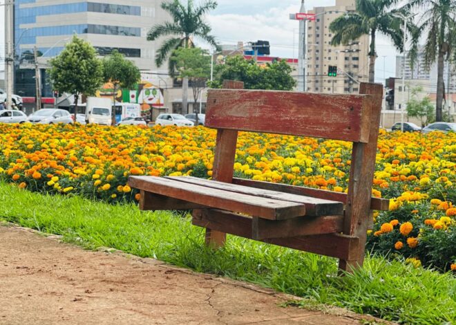 Comurg intensifica manutenção de praças em cartões-postais de Goiânia