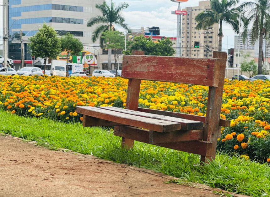 Comurg intensifica manutenção de praças em cartões-postais de Goiânia