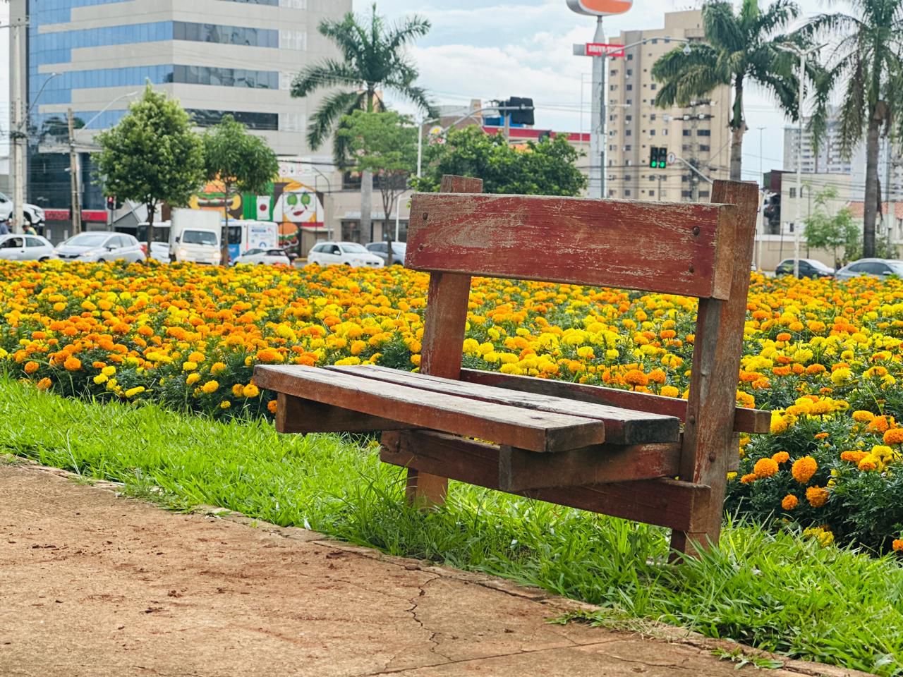 Comurg intensifica manutenção de praças em cartões-postais de Goiânia