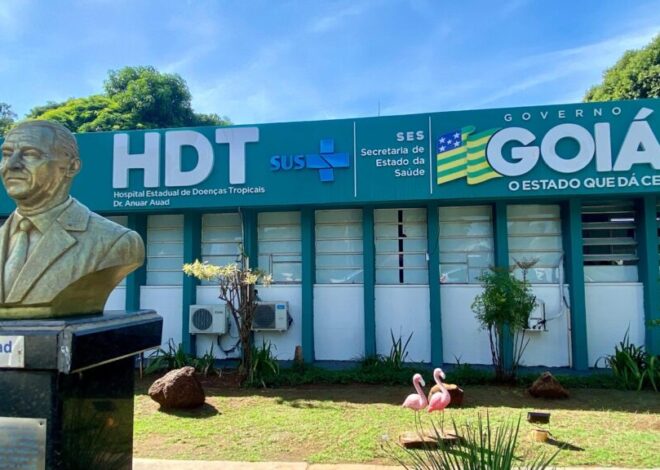 Saúde alerta para riscos e orienta sobre primeiros socorros em casos de picadas de cobra