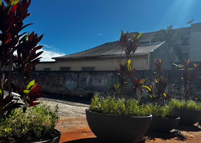 Comurg instala barreira vegetal em área do césio‑137 para impedir uso irregular