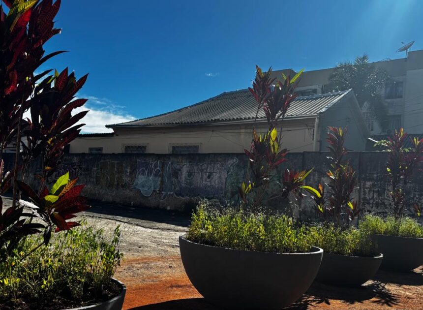 Comurg instala barreira vegetal em área do césio‑137 para impedir uso irregular