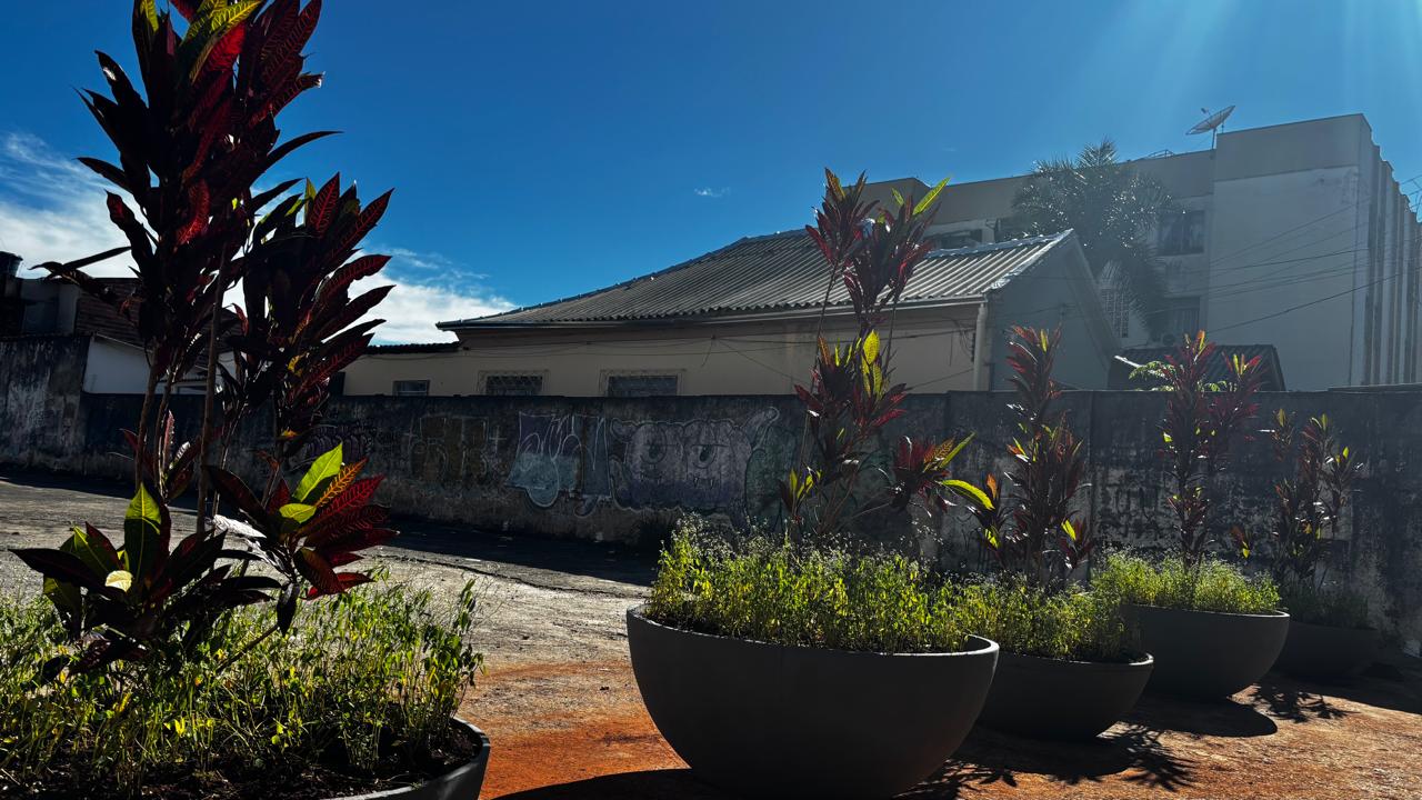 Comurg instala barreira vegetal em área do césio‑137 para impedir uso irregular