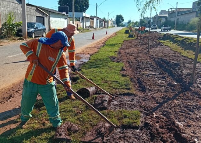 Serviços de arborização e paisagismo avançam em diferentes pontos de Goiânia