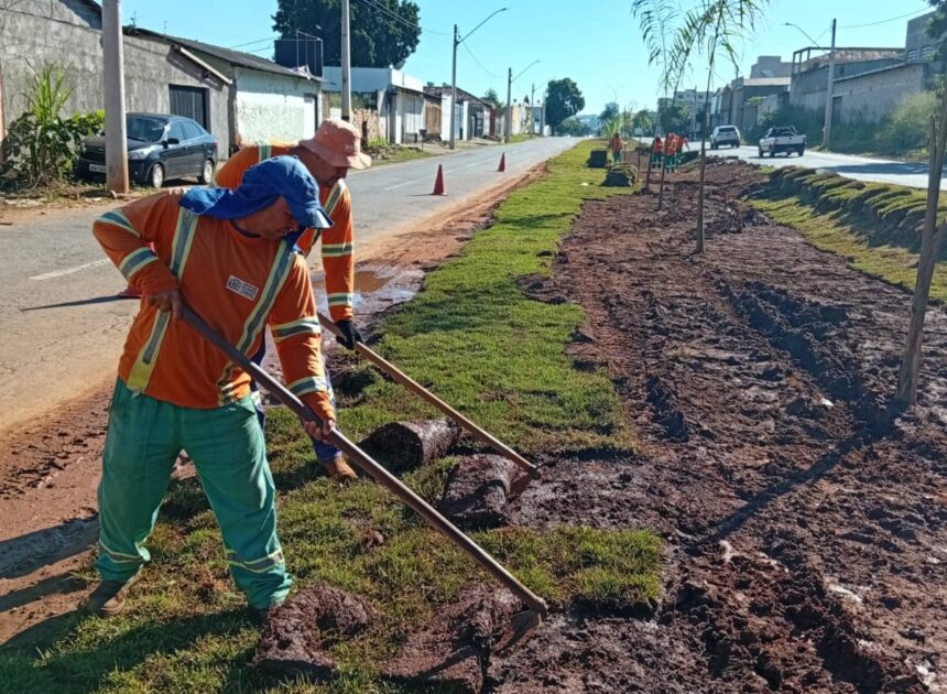 Serviços de arborização e paisagismo avançam em diferentes pontos de Goiânia