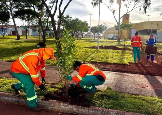 Praça do Recanto do Bosque ganha novo paisagismo com quase 100 mudas e grama esmeralda