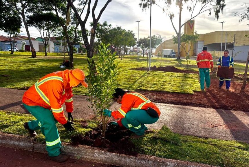 Praça do Recanto do Bosque ganha novo paisagismo com quase 100 mudas e grama esmeralda
