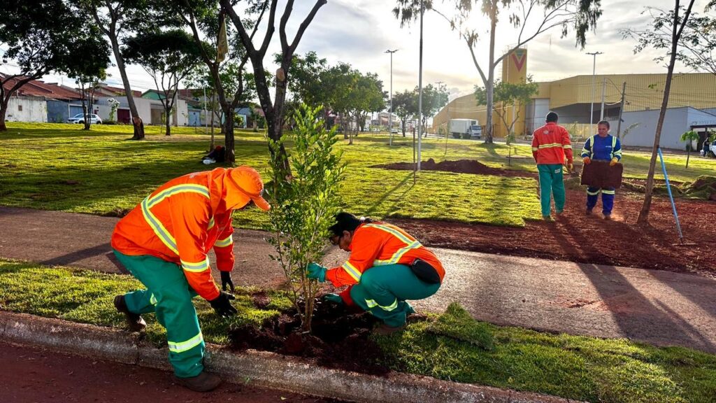 Praça do Recanto do Bosque ganha novo paisagismo com quase 100 mudas e grama esmeralda