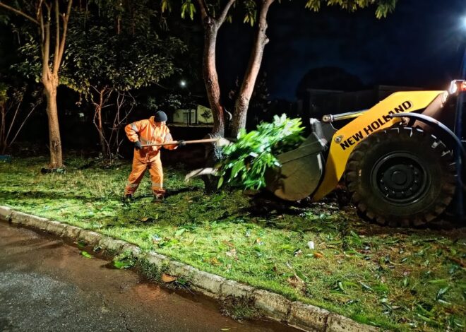 Comurg atende 45 quedas de árvores e remove 105 toneladas de resíduos após temporal em Goiânia