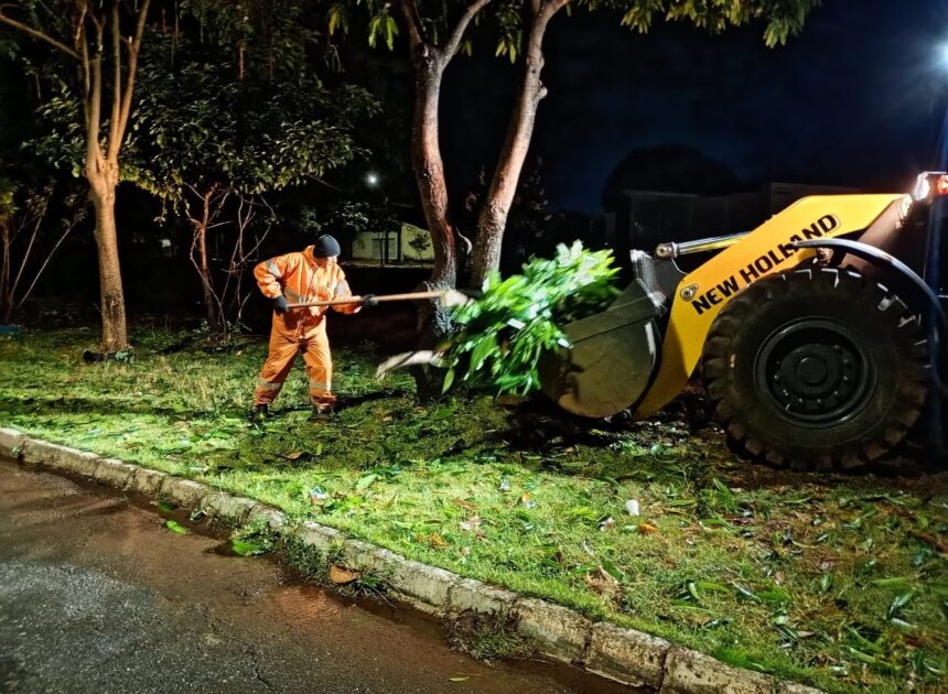 Comurg atende 45 quedas de árvores e remove 105 toneladas de resíduos após temporal em Goiânia