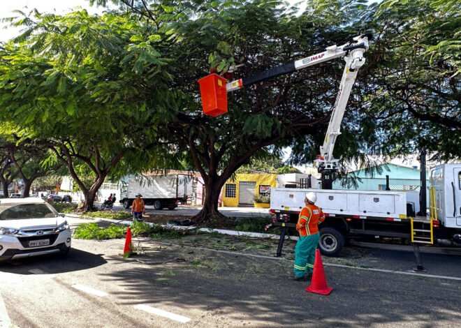 Amma e Comurg alinham equipes técnicas e operacionais e padronizam manejo arbóreo de Goiânia