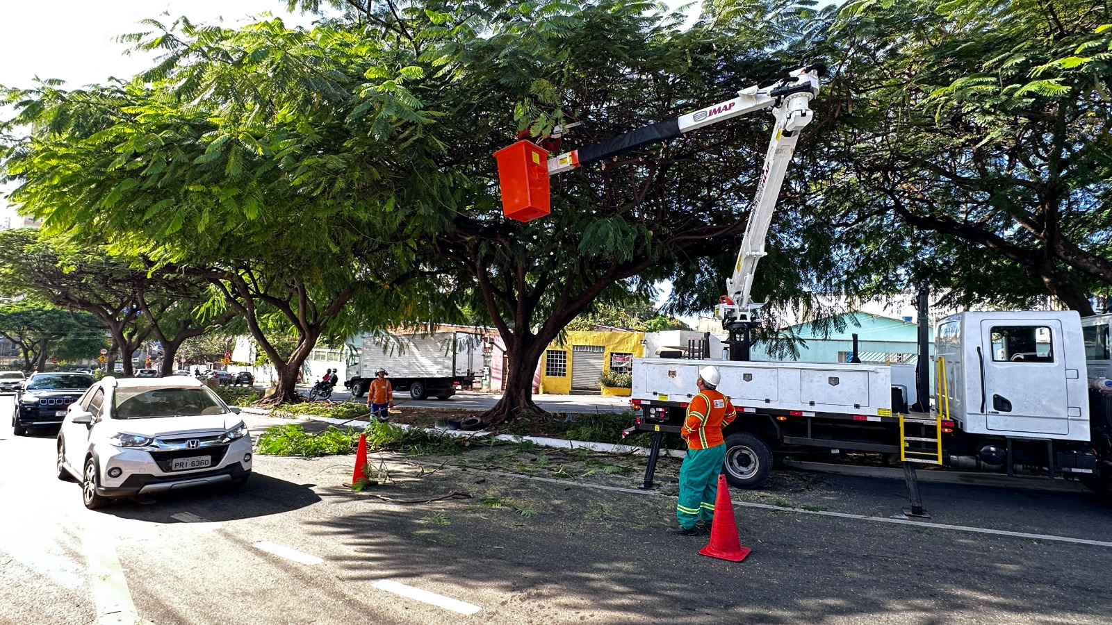Amma e Comurg alinham equipes técnicas e operacionais e padronizam manejo arbóreo de Goiânia