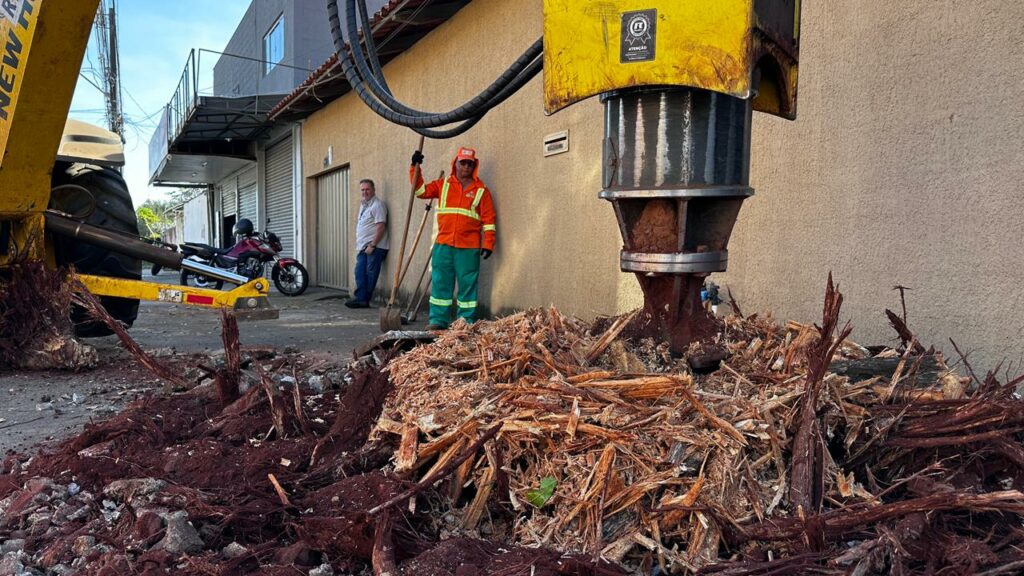 Comurg realiza até dez remoções de raízes por dia em Goiânia e orienta sobre como solicitar o serviço
