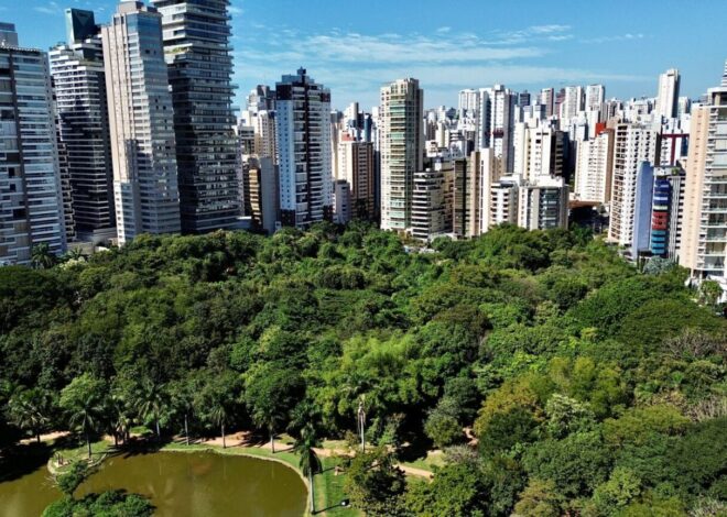 Goiânia conquista reconhecimento internacional por ações de mitigação das mudanças climáticas