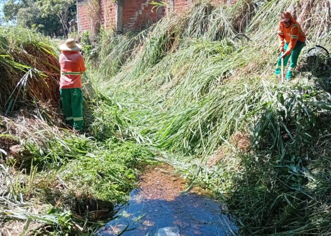 Prefeitura de Goiânia limpa 5,7 milhões de m² em volta de mananciais