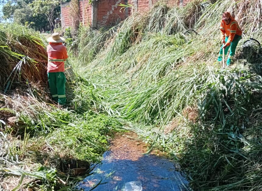 Prefeitura de Goiânia limpa 5,7 milhões de m² em volta de mananciais