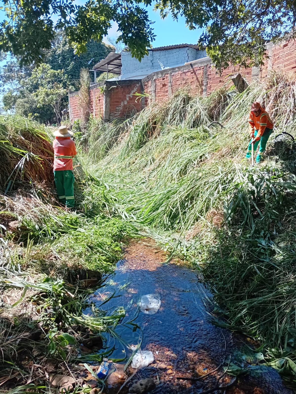Prefeitura de Goiânia limpa 5,7 milhões de m² em volta de mananciais