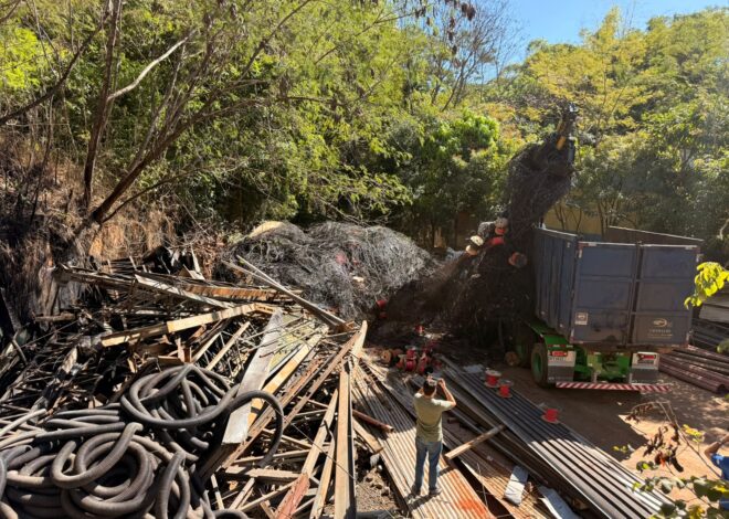 Prefeitura de Goiânia destina para reciclagem 110,7 toneladas de fios retirados dos postes