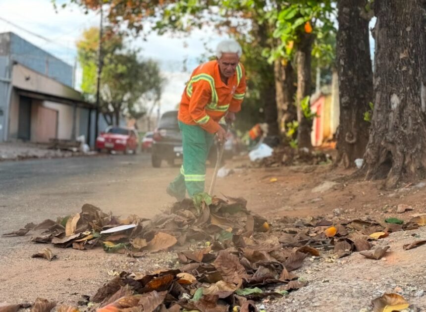 Comurg intensifica rastelação de folhas secas para prevenir incêndios e manter áreas públicas limpas durante a estiagem