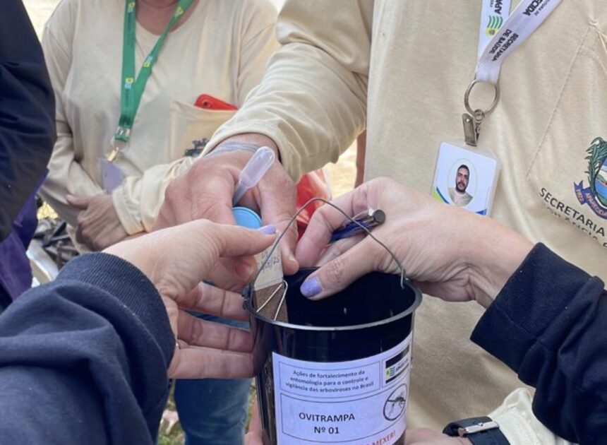 Aparecida amplia monitoramento da dengue com 248 novas ovitrampas